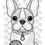 Detailed Boston Terrier