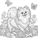 Pomeranian Pup Coloring Fun