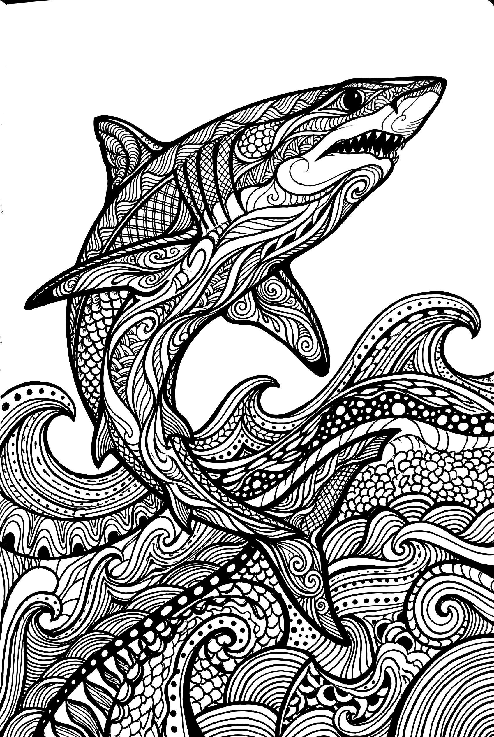 shark coloring pages