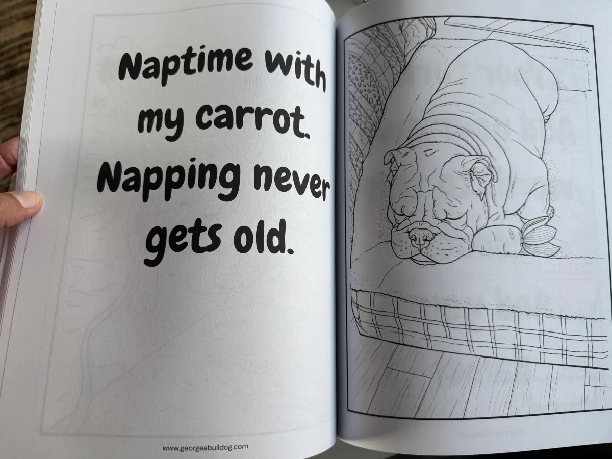 Printed book spread with the caption Naptime with my carrot next to a sleeping George coloring page