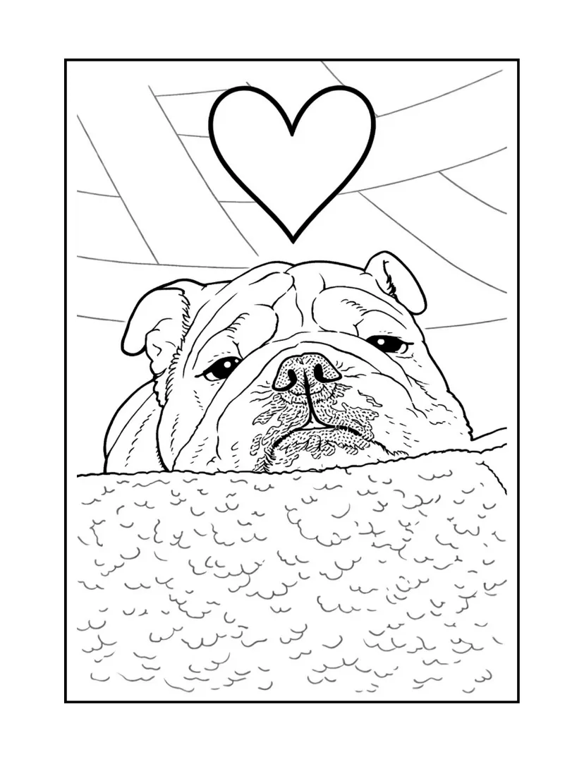 George the English Bulldog resting on a blanket under a heart coloring page