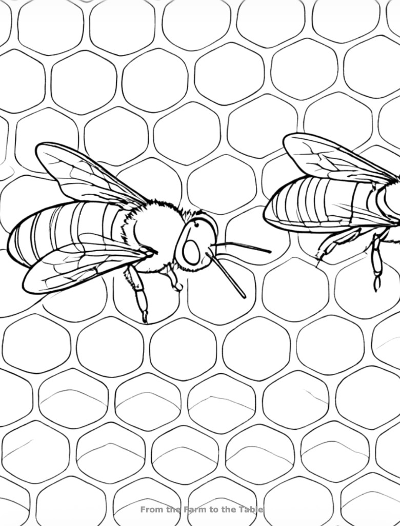 Coloring page of honeybees on a honeycomb from the From the Farm to the Table series