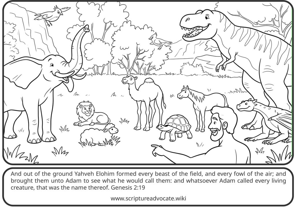 Coloring page of Adam pointing to animals in a field, including an elephant, camel, horse, and dinosaur