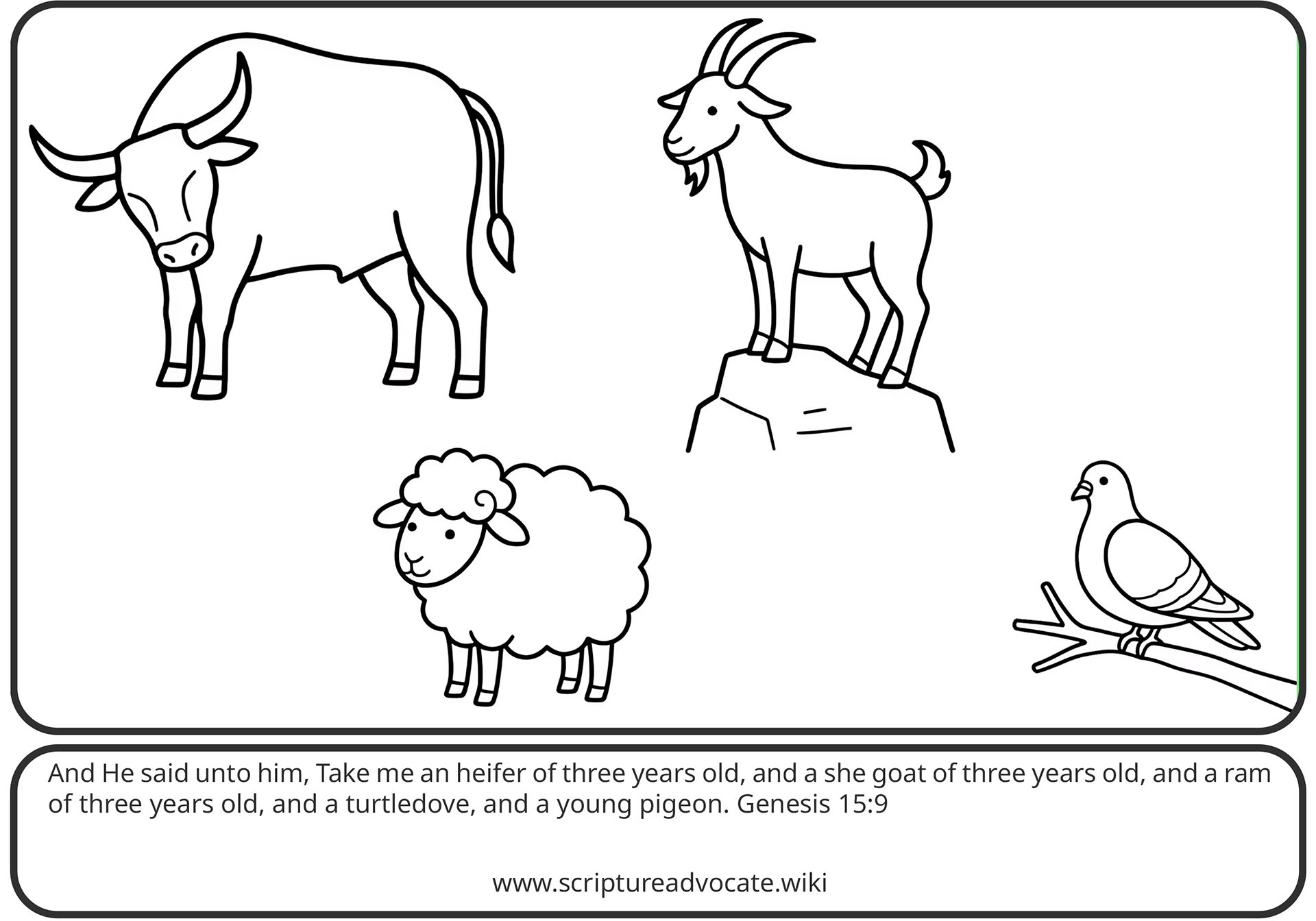 Simple coloring page of a bull, a goat on a rock, a sheep, and a dove