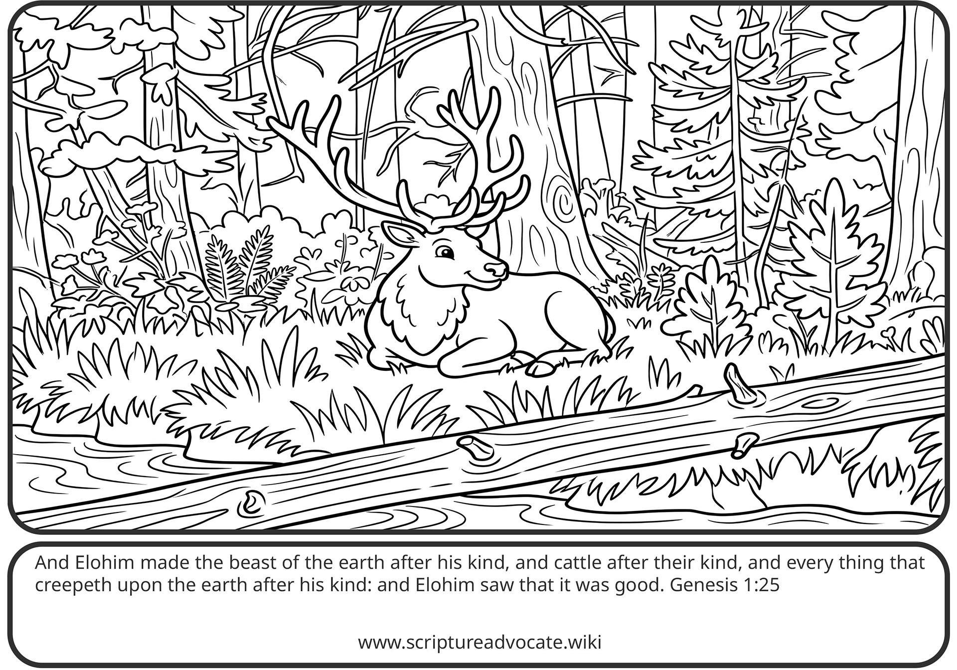 Coloring page of an elk lying in ferns beside a fallen log